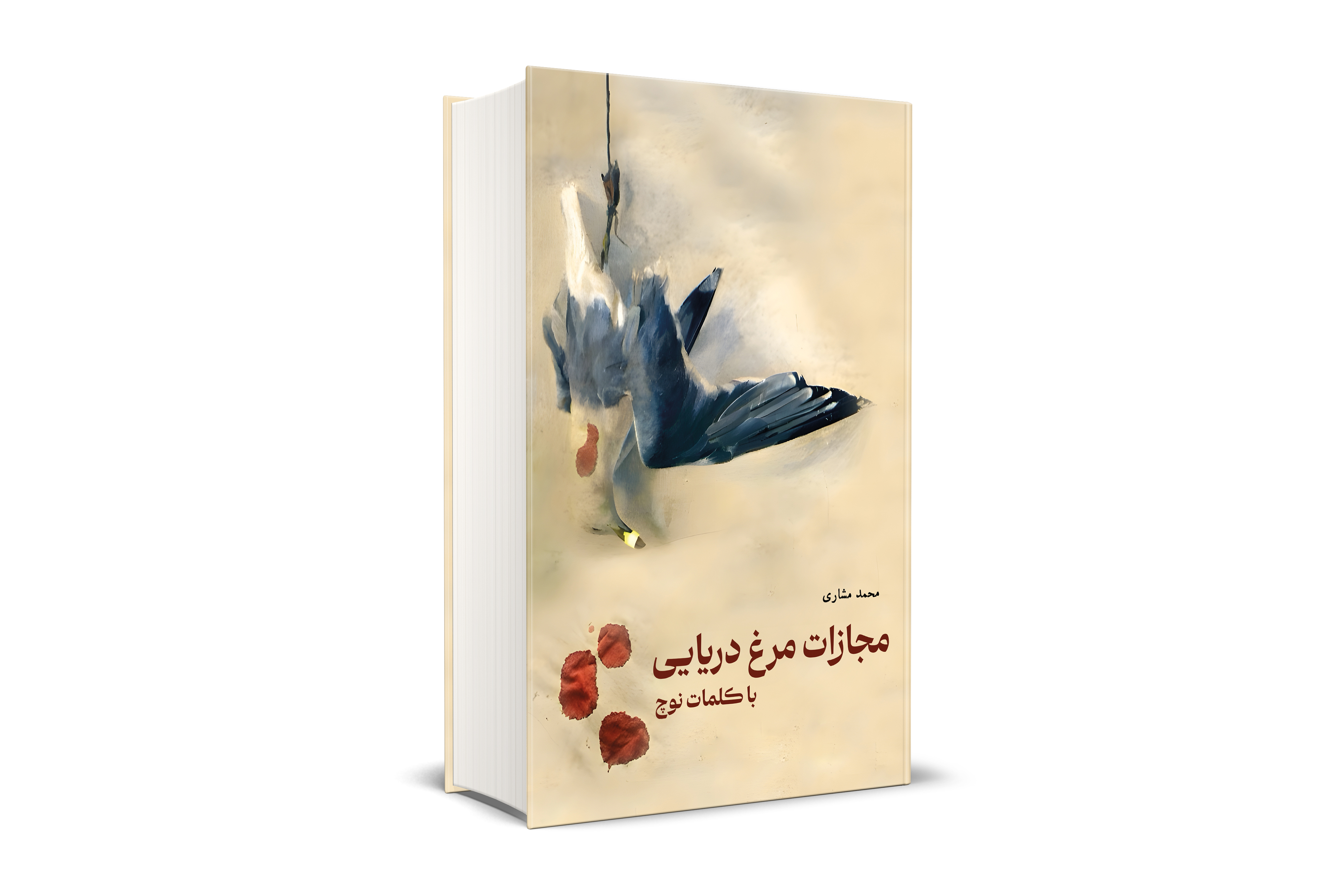 مجازات مرغ دریایی با کلمات نوچ