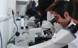 کدام دانشجویان دکتری از پژوهانه ۱۵ میلیون تومانی برخوردار می‌شوند؟